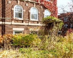 Brick building surrounded by weeds and overgrowth vegetation.